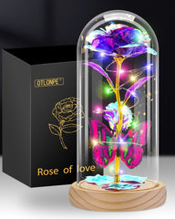 Otlonpe Rose Flower Gifts for Women,Valentines Day Gifts for Her,Birthday Gifts for Women,Gifts for Mom,Light Up Glass Rose Gifts for Girlfriend Wife,Moms Gifts for Mothers Day