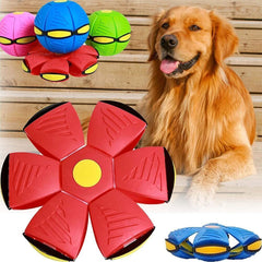 2023 Pet Toy Flying Saucer Ball for Dogs Flying Strange Magic Stomp Saucer Balls