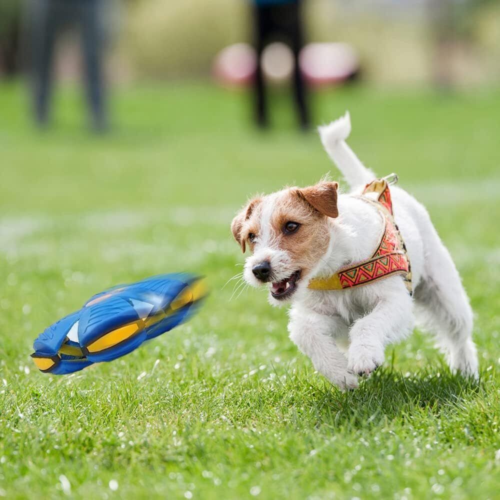 2023 Pet Toy Flying Saucer Ball for Dogs Flying Strange Magic Stomp Saucer Balls