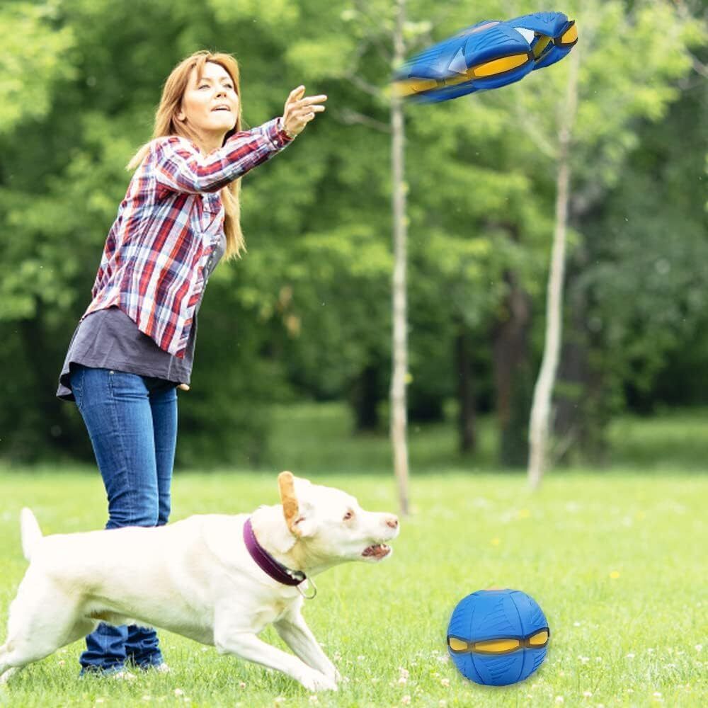 2023 Pet Toy Flying Saucer Ball for Dogs Flying Strange Magic Stomp Saucer Balls